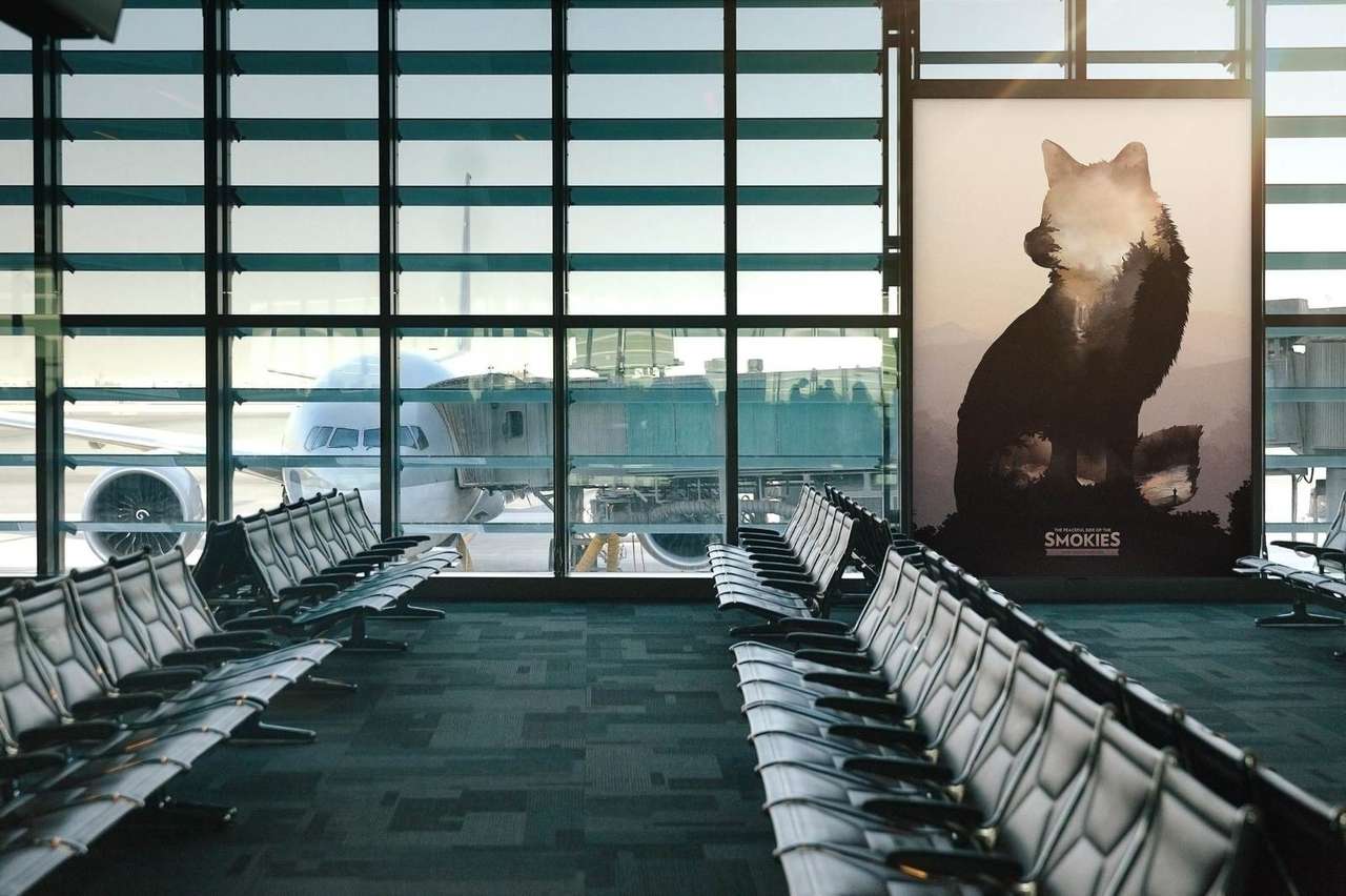 Peaceful Side of the Smokies fox key art at an airport gate window